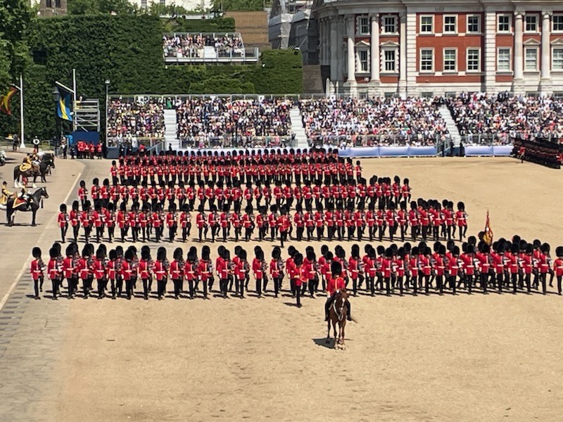 Trooping the Colour marks the King's official birthday, and over 1,350 soldiers from the Household Division were involved this year